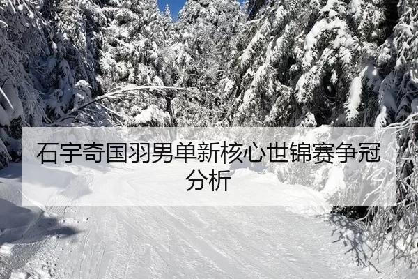 shi-yu-qi-guo-yu-nan-dan-xin-he-xin-shi-jin-sai-zheng-guan-fen-xi-3-557.jpg